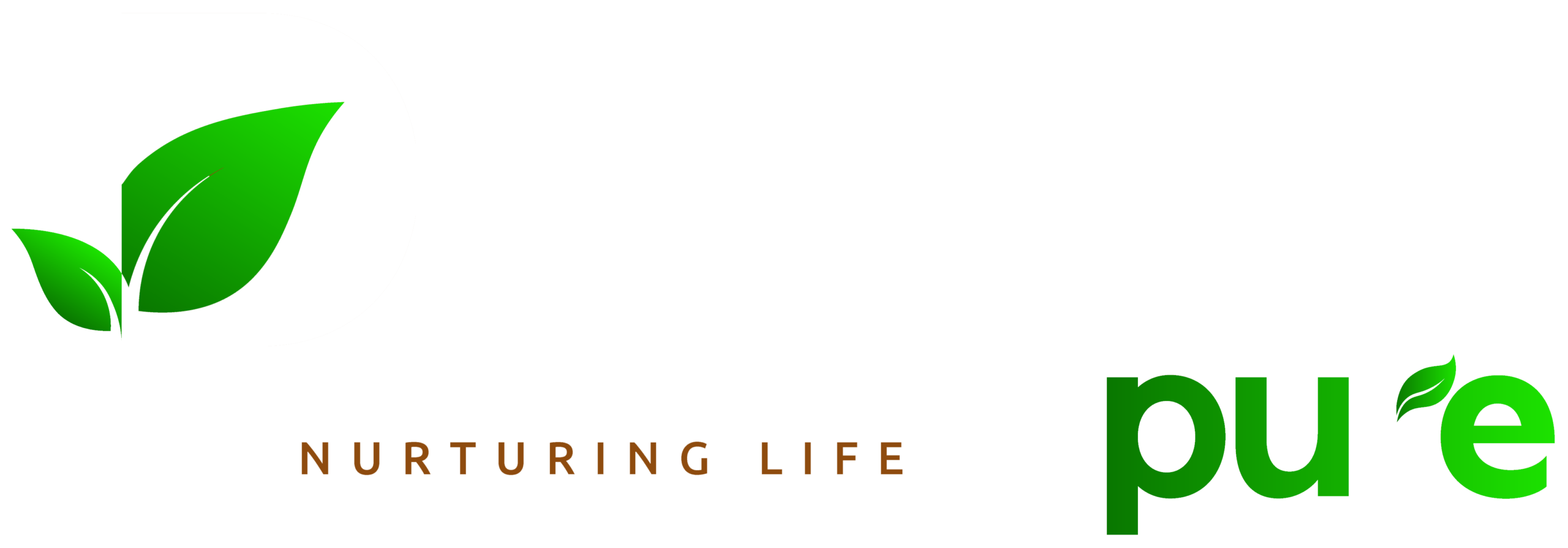 Dhyana pure logo -wt